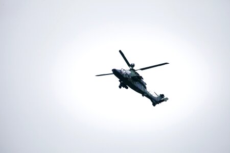 Army air force tiger