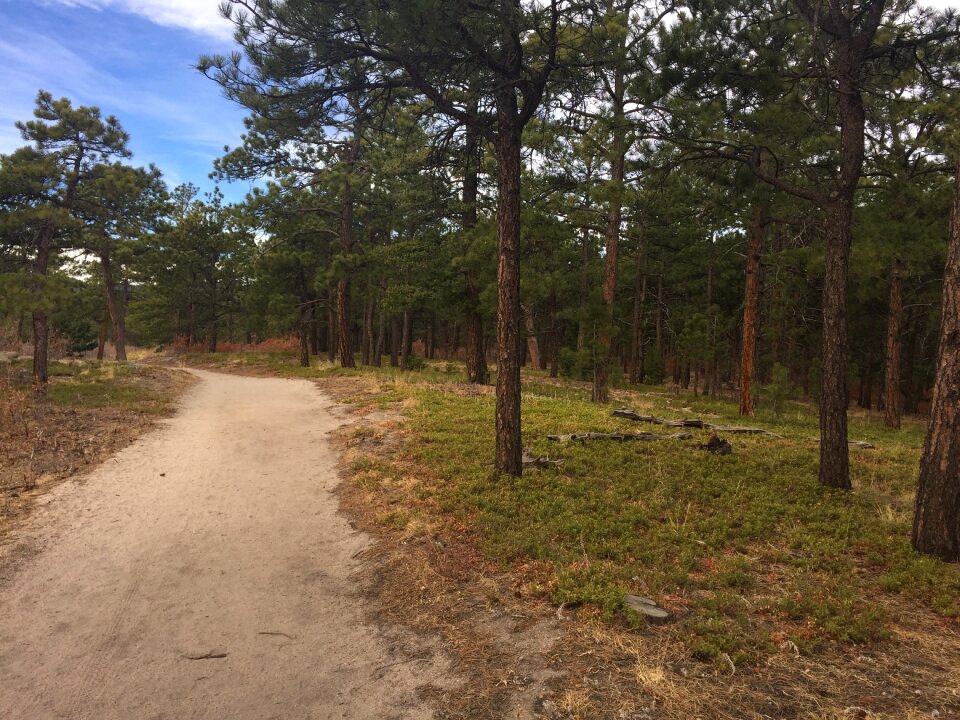 Path nature