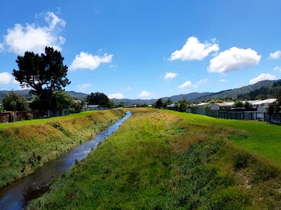 Sky foliage grass photo