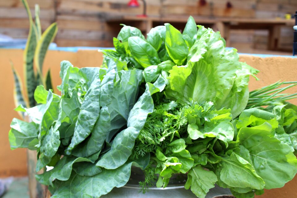Organics nature nutrition