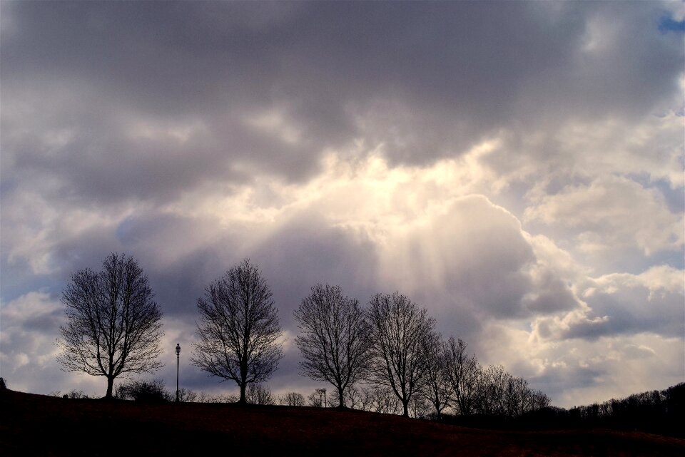 Light dramatic dark