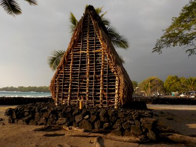 Thatched hawaiian historic photo