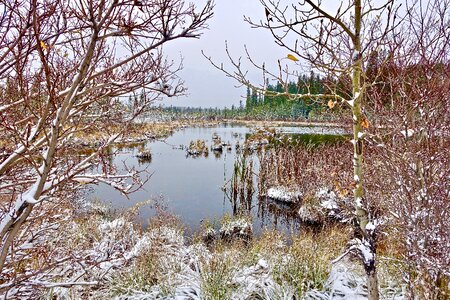 Wilderness reflection frozen photo