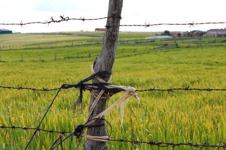 Field gate castilla