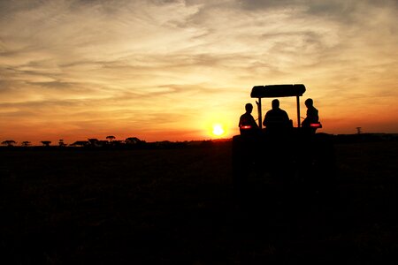 Agriculture dusk field