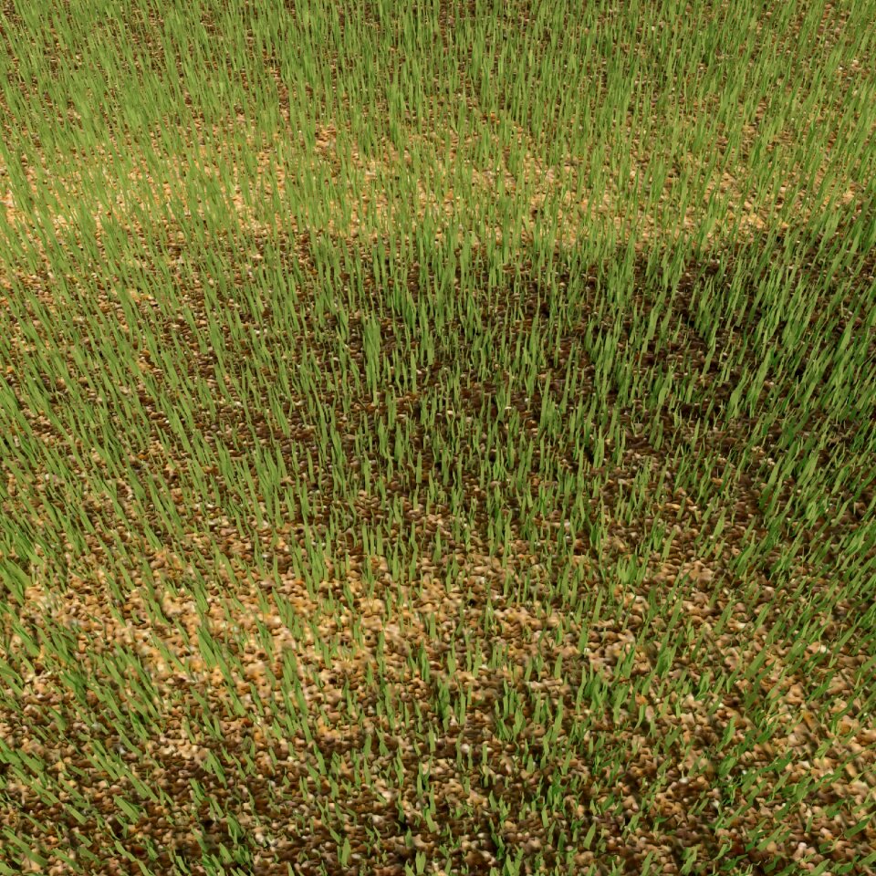 Grassland nature