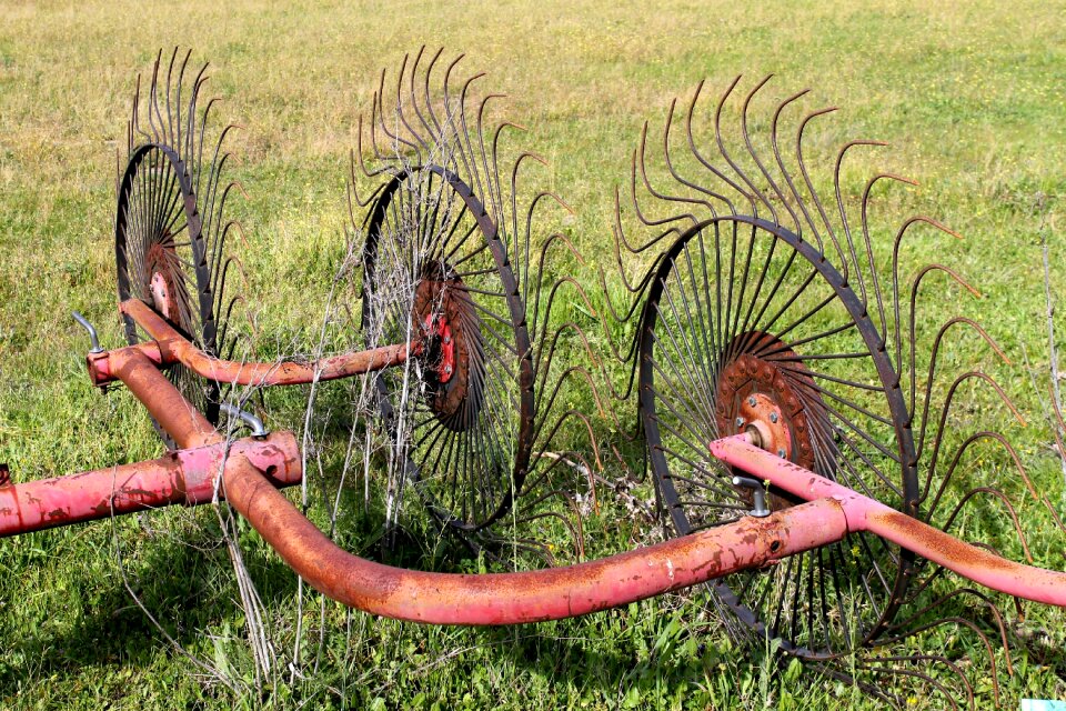 Agriculture peasant harvest