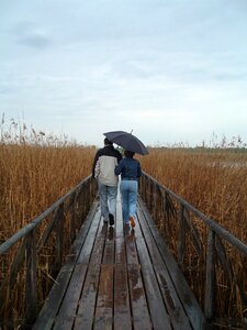 Walk nature together