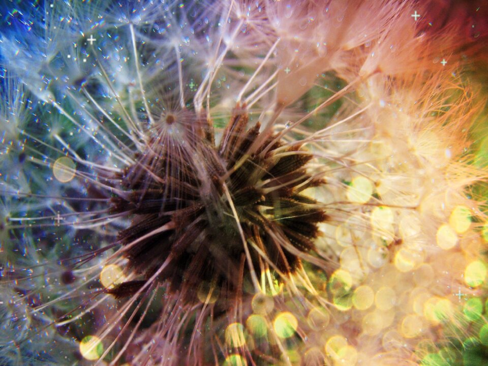Colors colorful macro