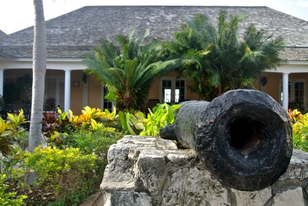 Caribbean canon