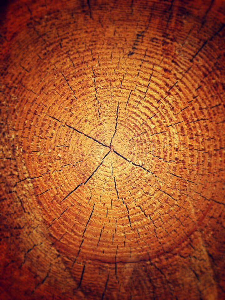 Nature texture vintage