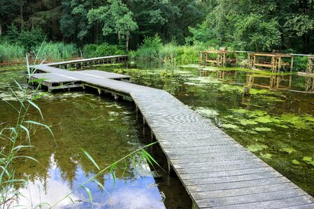 Waters green landscape