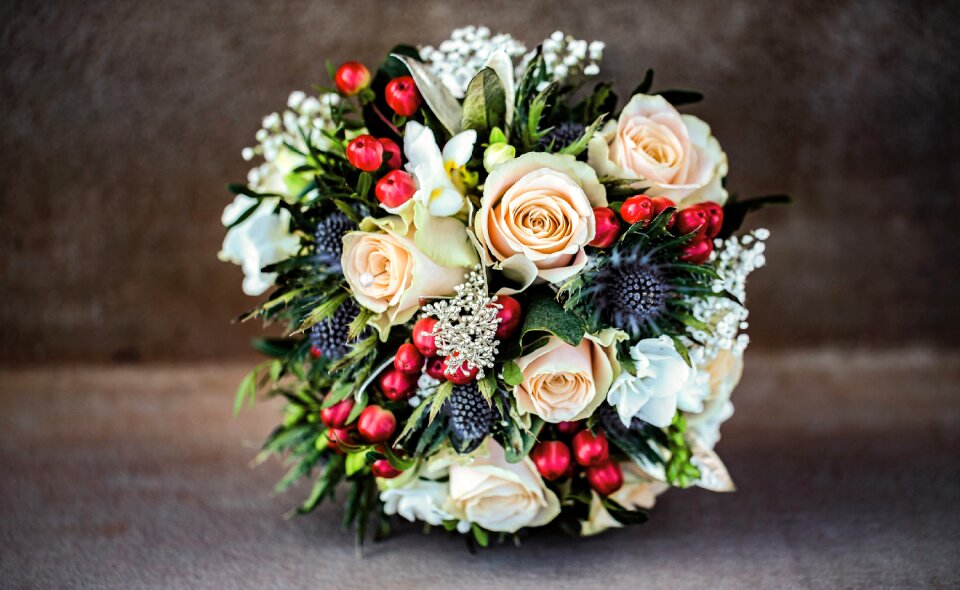 Rose floral spring