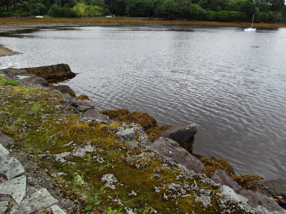 Scenic environment tranquil