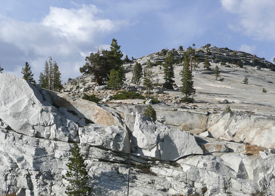California usa nature