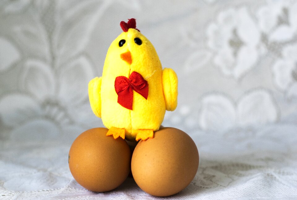Eggs easter holiday