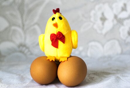 Eggs easter holiday