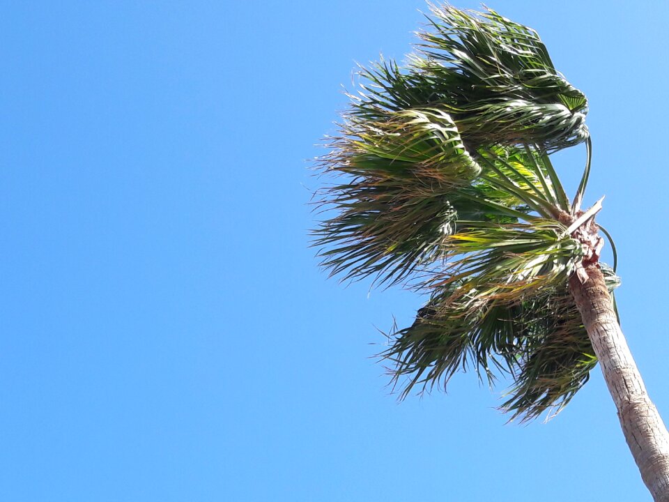 Sky canary islands spain photo