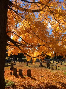 Cemetery autumn photo