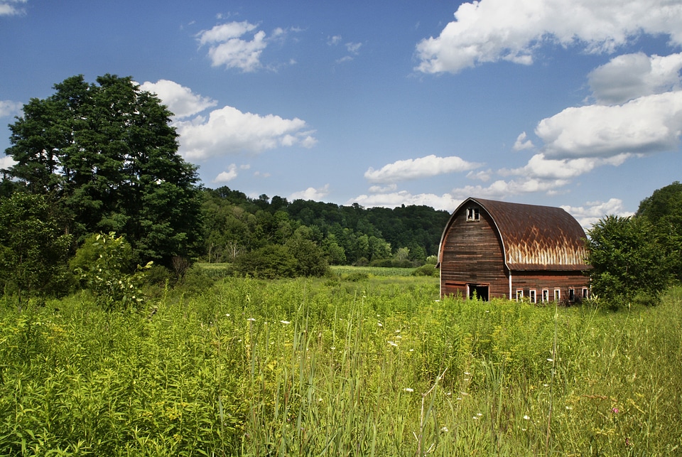 Countryside shed shack