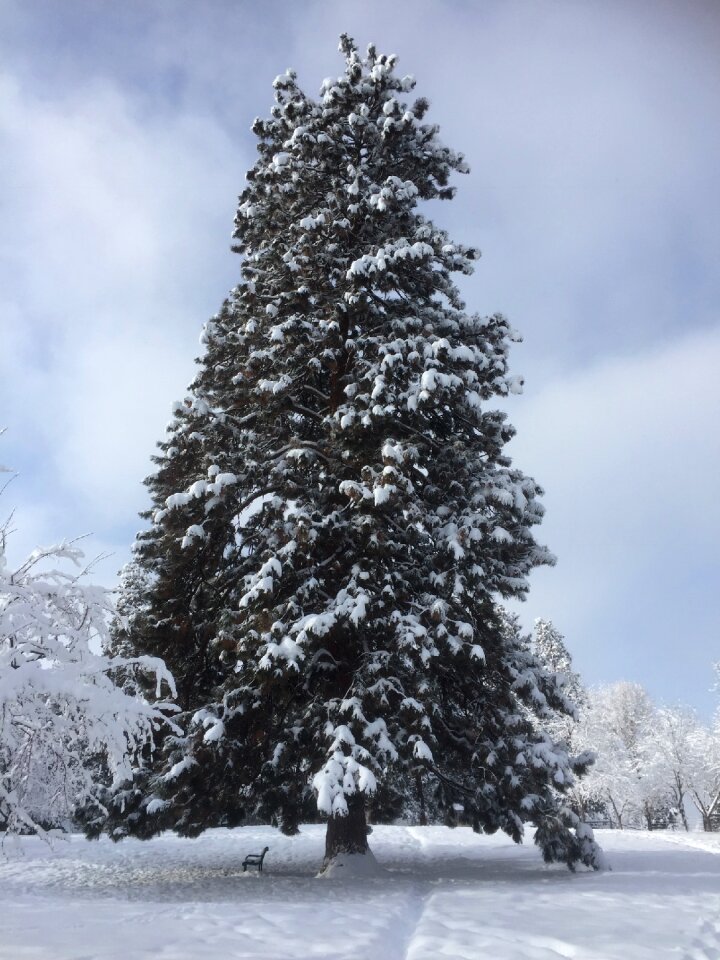 Landscape nature cold