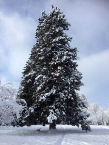 Landscape nature cold