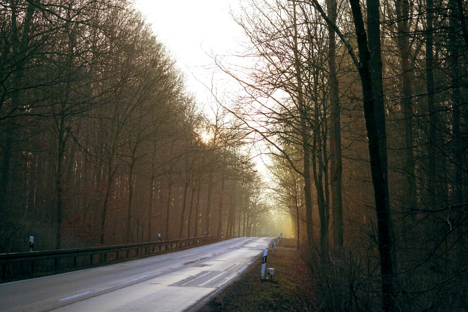 Asphalt nature country road photo