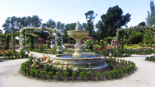 Spring flower garden