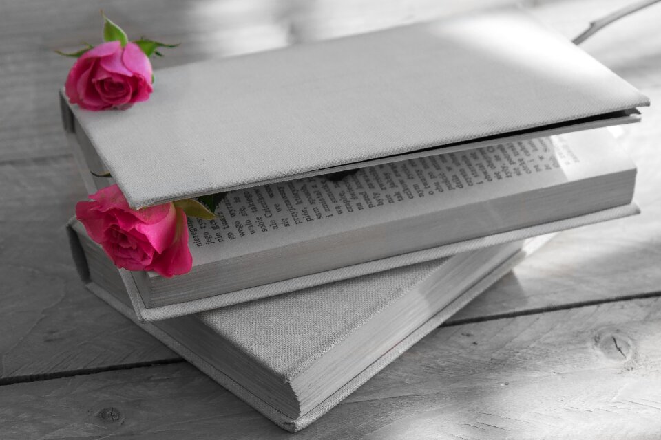 Book cover rose pink rose