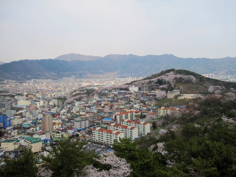Jinhae city south korea mountains