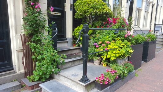Front door input range plant
