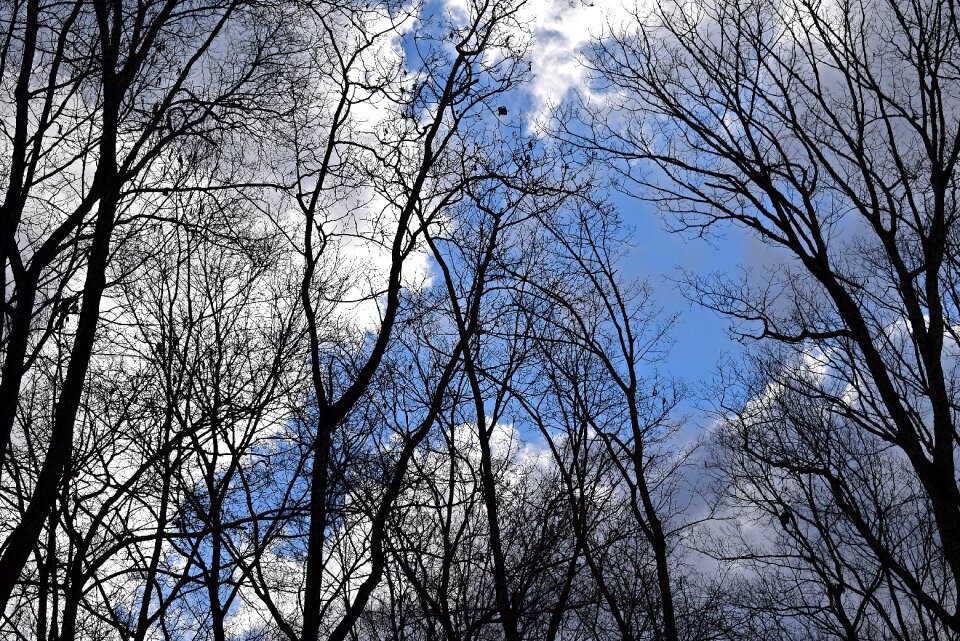 Landscape nature cloudscape photo