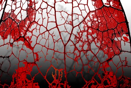 Red shadow macro