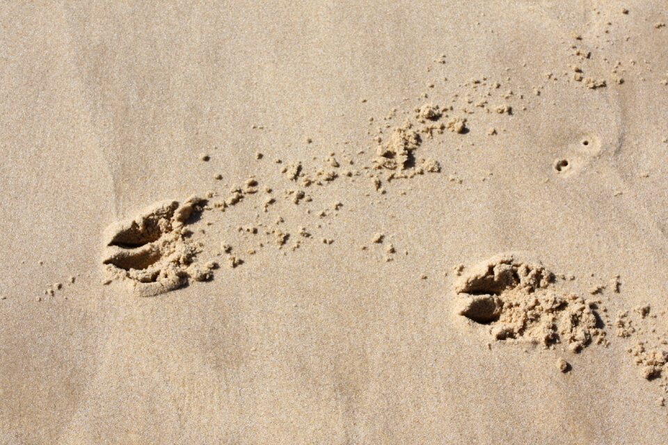 Fingerprints sand traces