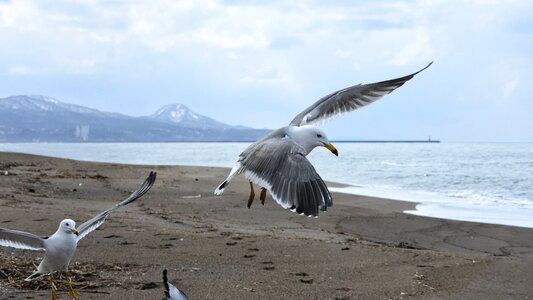 Mountain sea beach