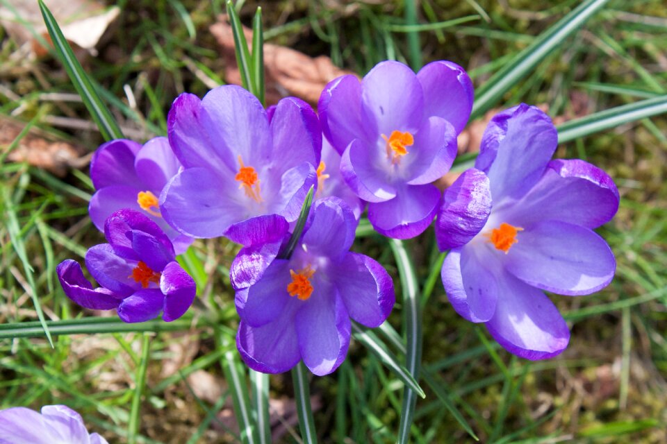 Nature season plant