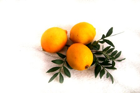 Food aroma citrus