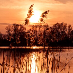 Water dusk abendstimmung