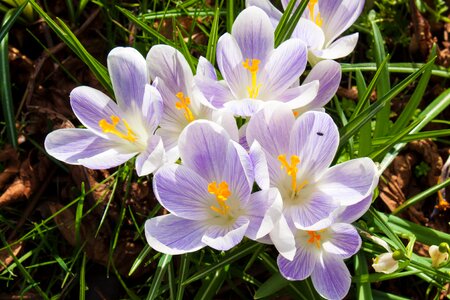 Nature season plant