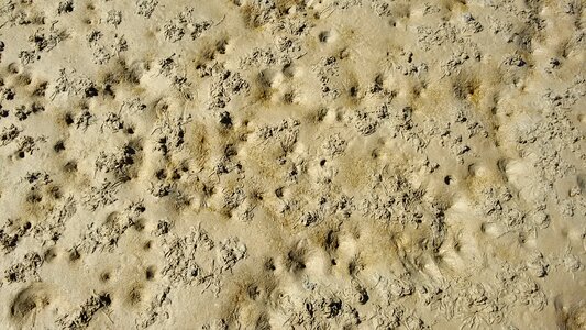 Intertidal zone north sea wadden sea photo