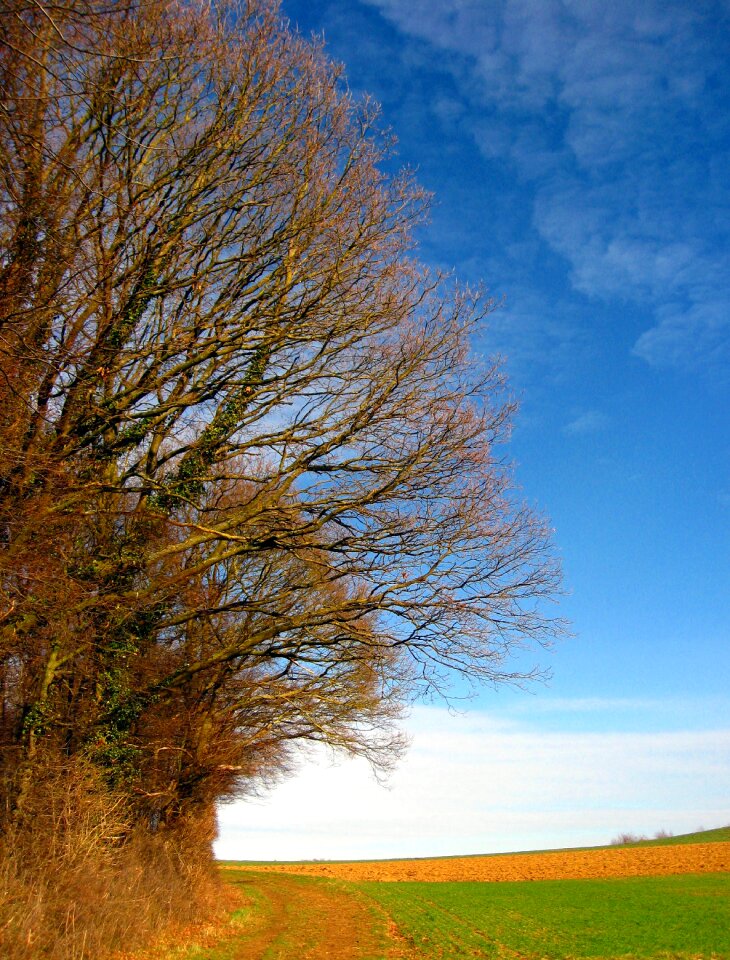 Sky aesthetic nature