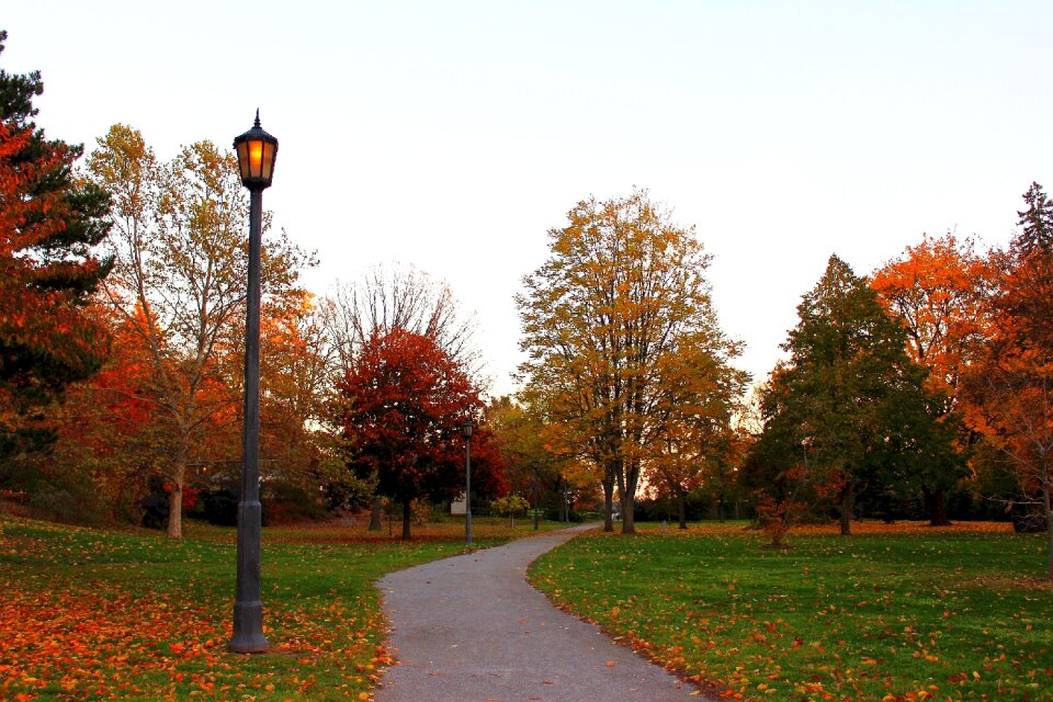 Landscape park autumn leaves
