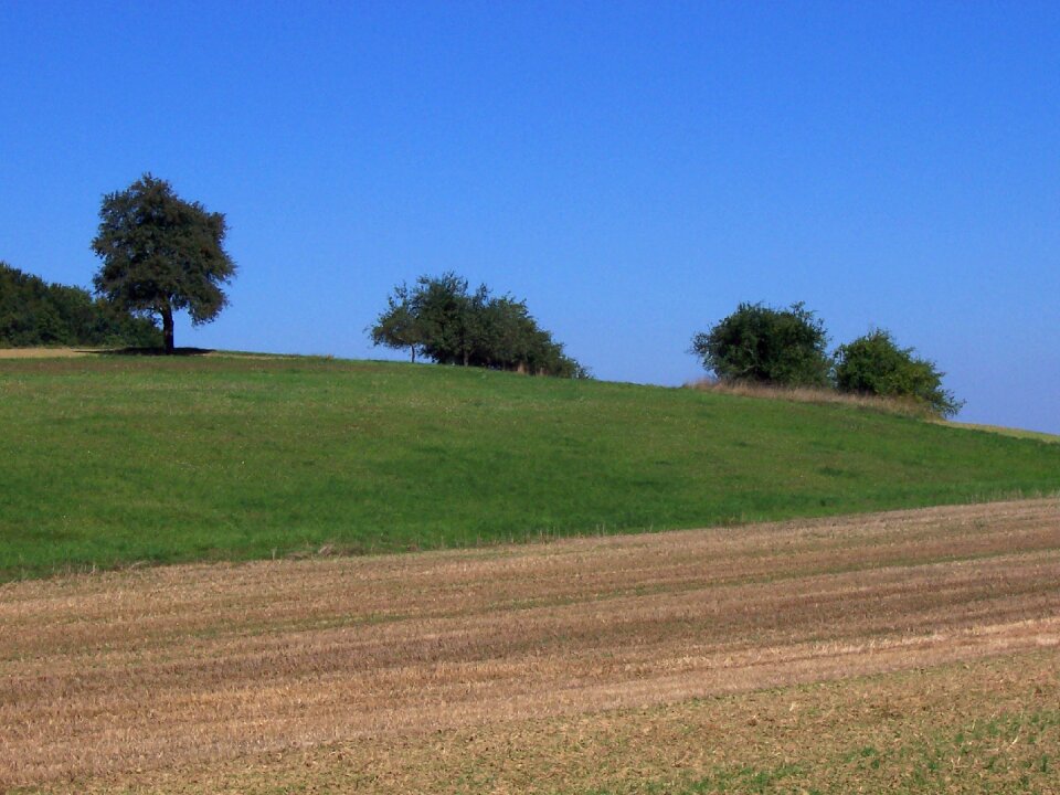 Sinsheim landscape meadow