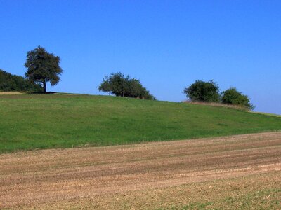 Sinsheim landscape meadow photo