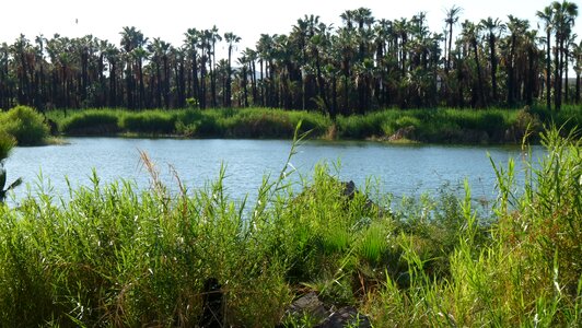 Mexico landscape nature