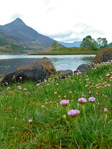 Glen coe nature isolation