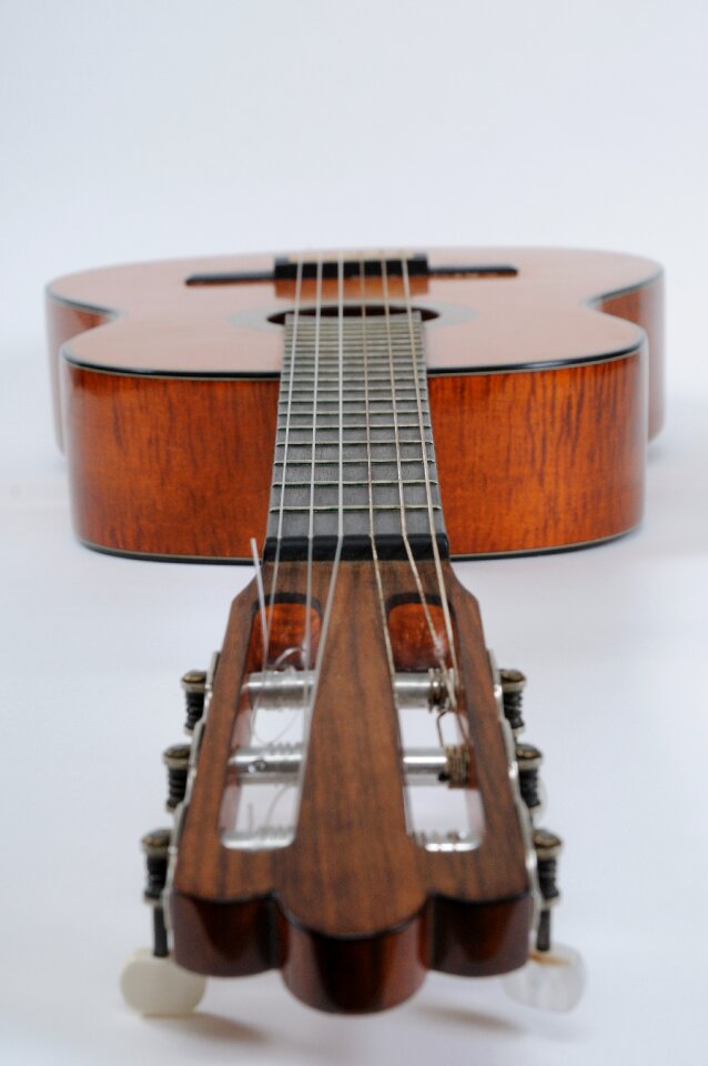 Acoustic guitar music band