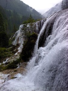 Jiuzhaigou falls trees photo