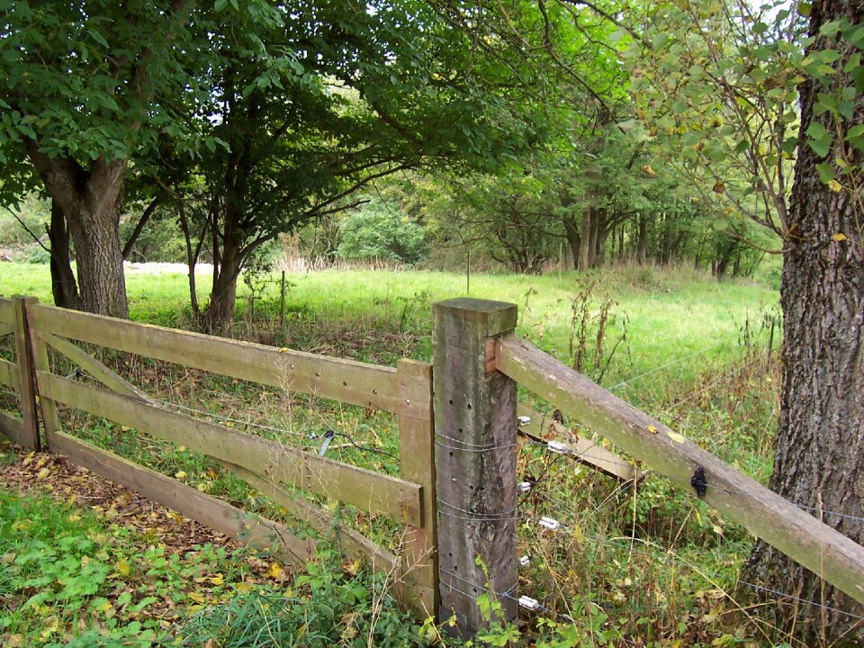 Heidenheim germany wood fence forest