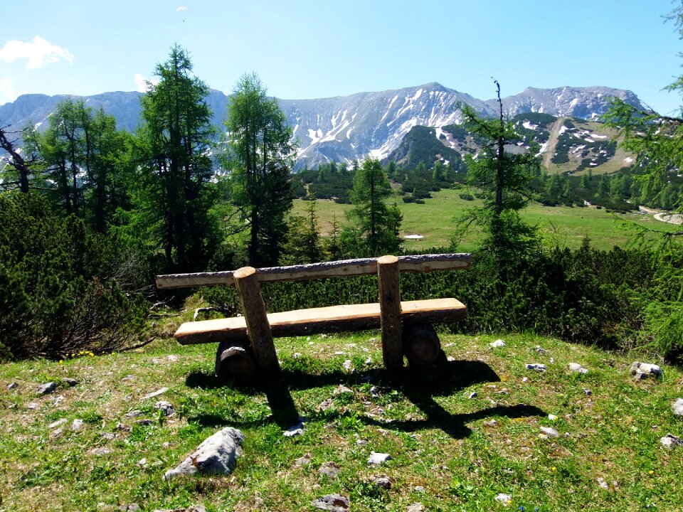 Bank bench nature green